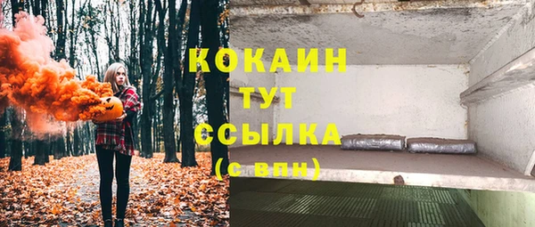 соль ск Верхний Тагил